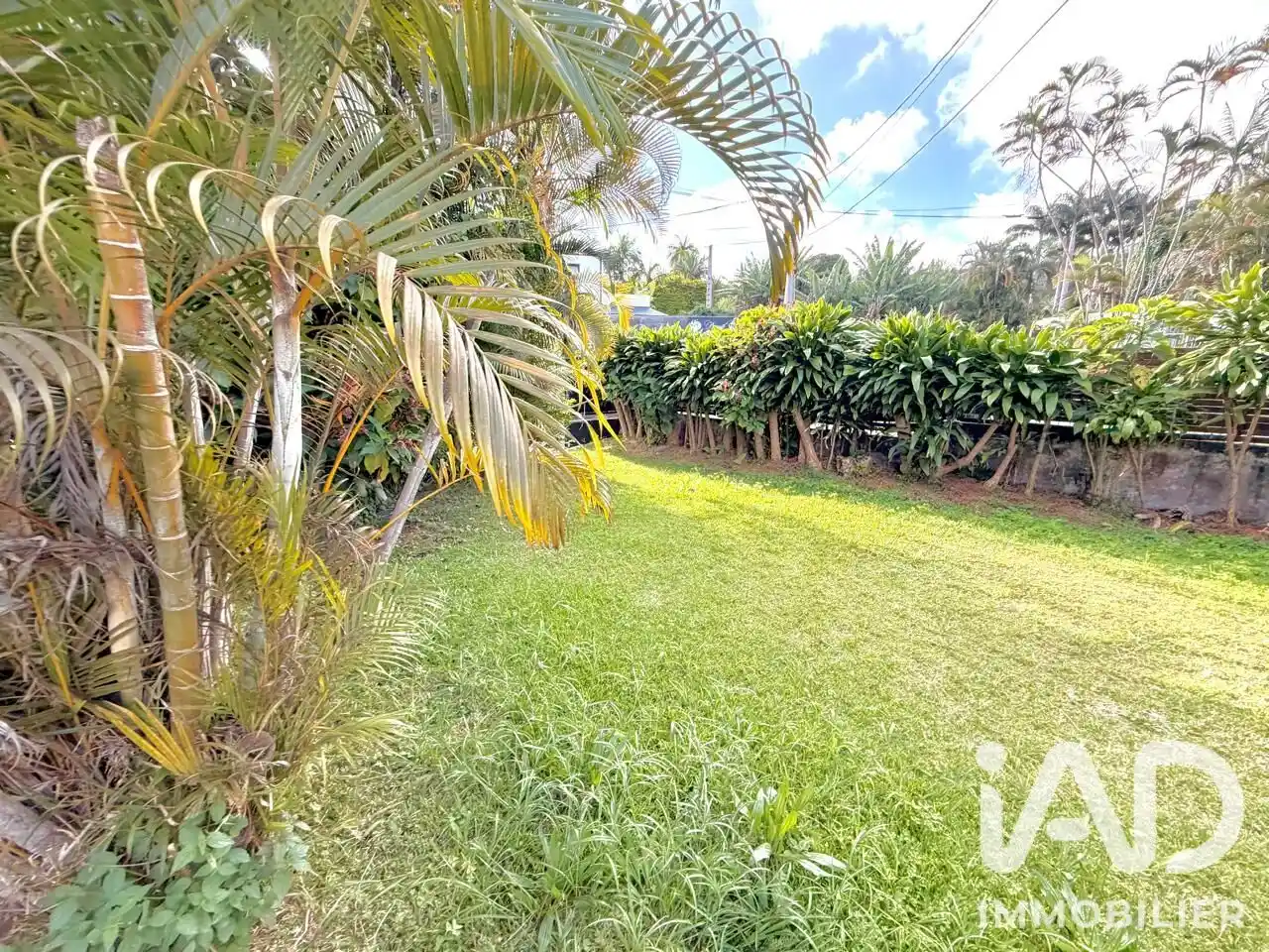 Photo 4 - Maison à vendre - Ancien 296 000 € 5 pièces 5 chambres 101 m² Le Tampon 97430