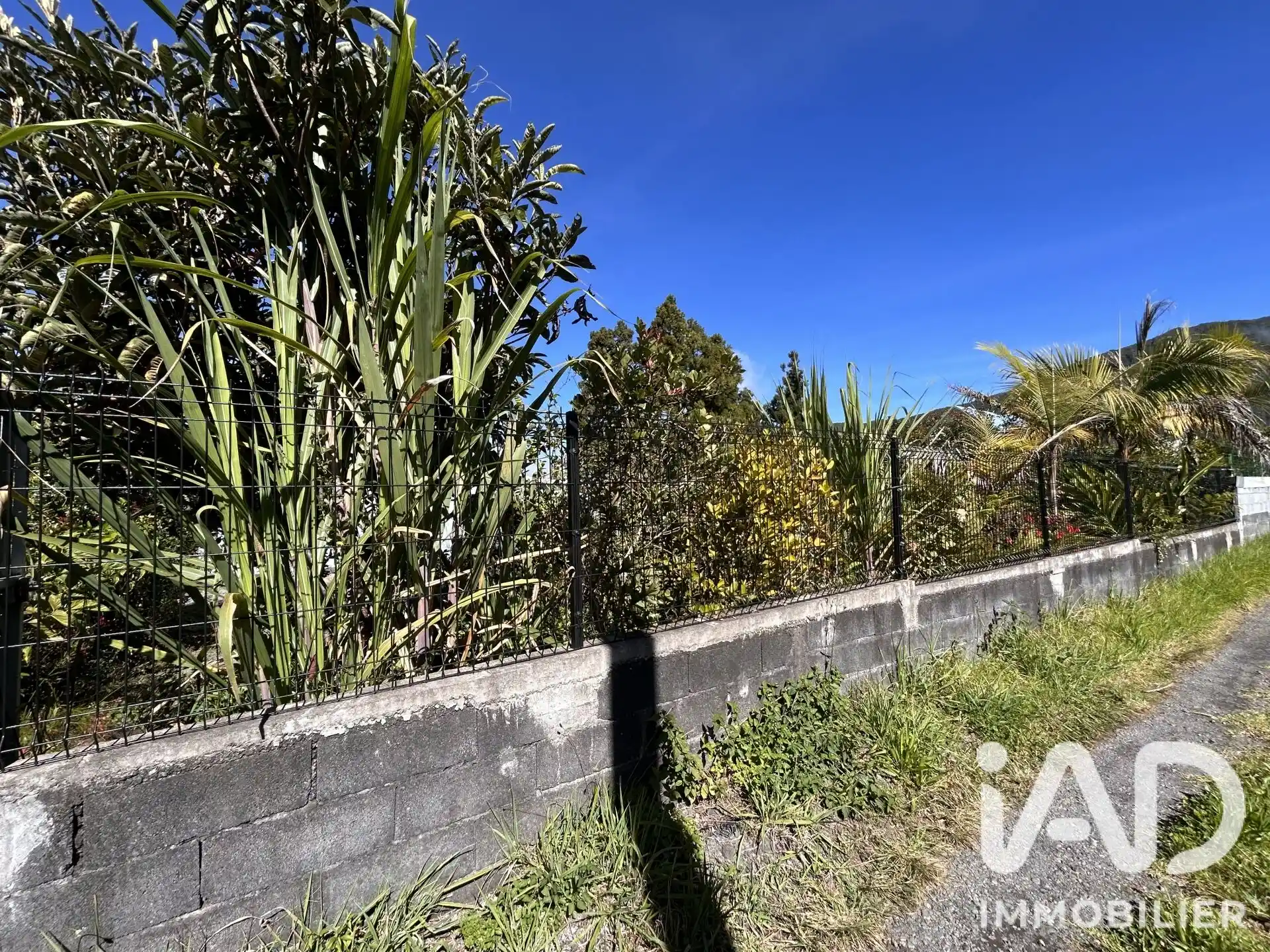 Photo 4 - Terrain à vendre - Ancien 118 730 € 669 m² Saint-Joseph 97480