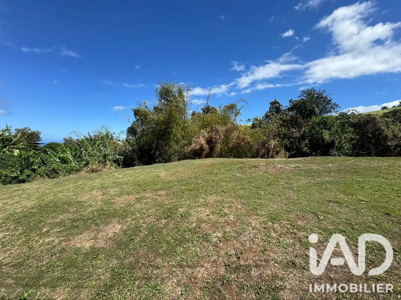 Photo 3 - Terrain à vendre 127 000 € 739 m² Saint-Pierre Mont Vert les Bas 97410