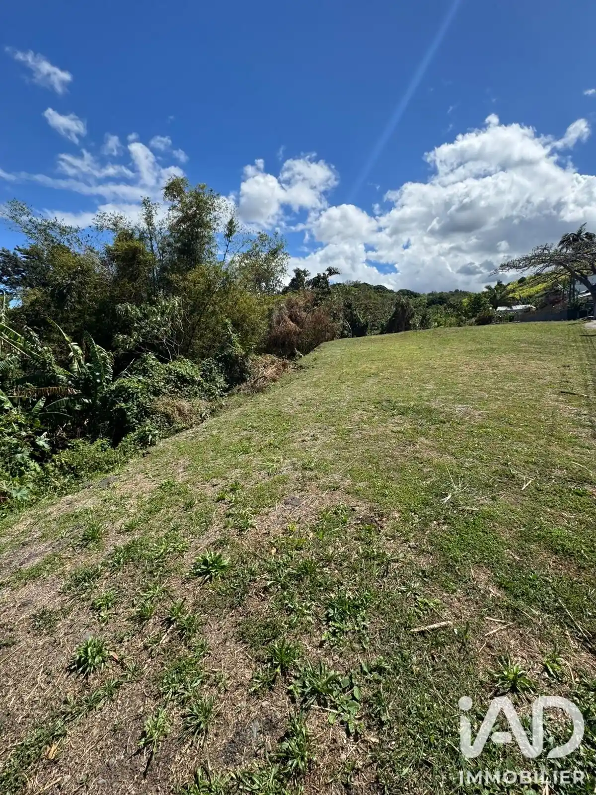 Photo 4 - Terrain à vendre 127 000 € 739 m² Saint-Pierre Mont Vert les Bas 97410