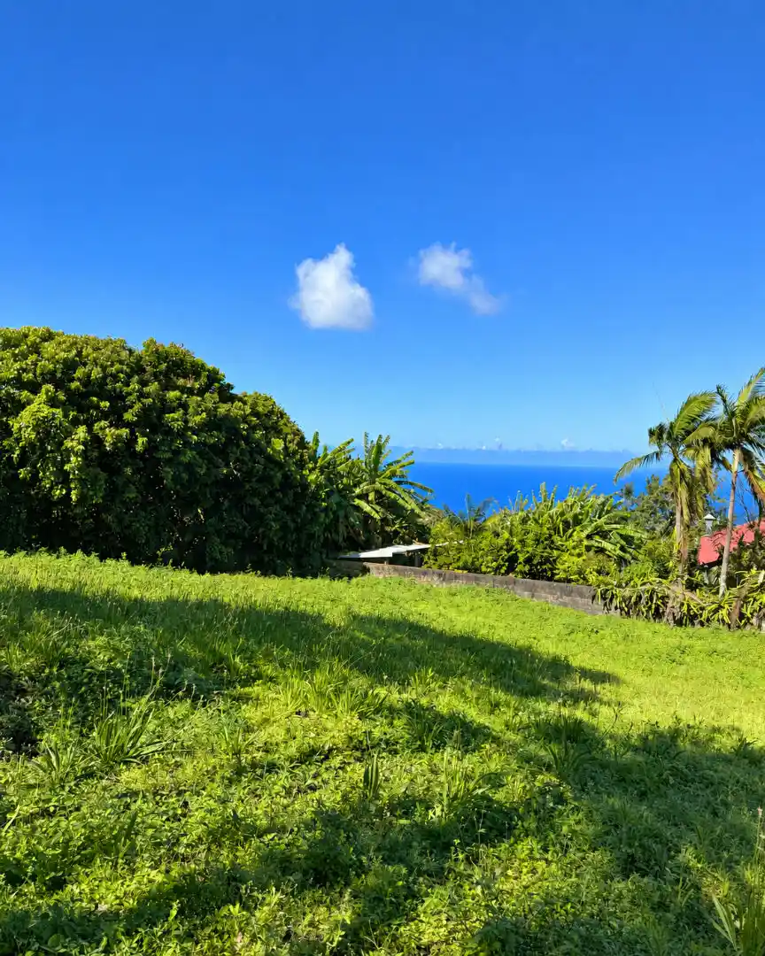 Photo 3 - Terrain à vendre 137 000 € Petite-Île 97429