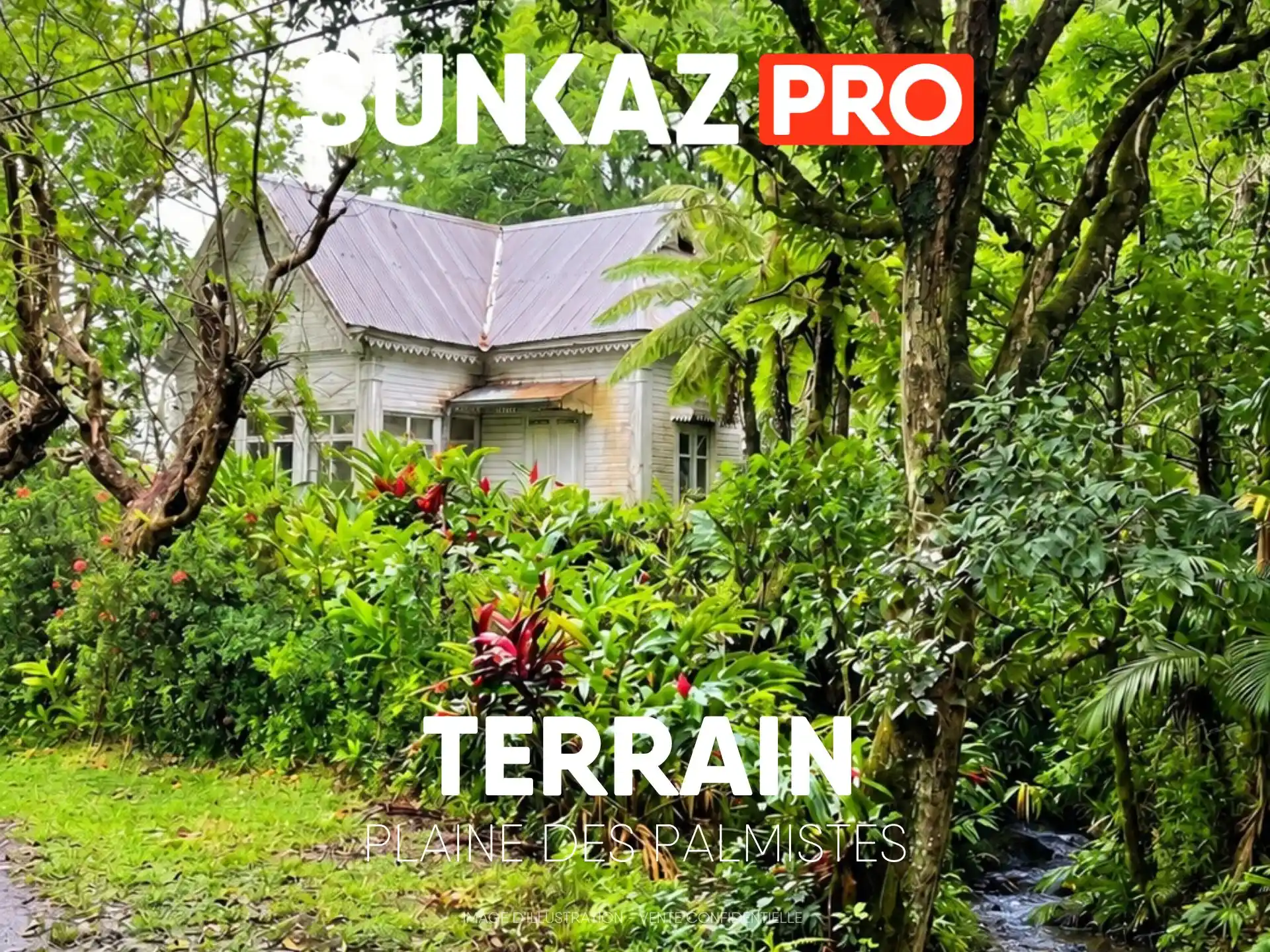 Photo 1 - Terrain à vendre 479 600 € 4 145 m² La Plaine-des-Palmistes 97431