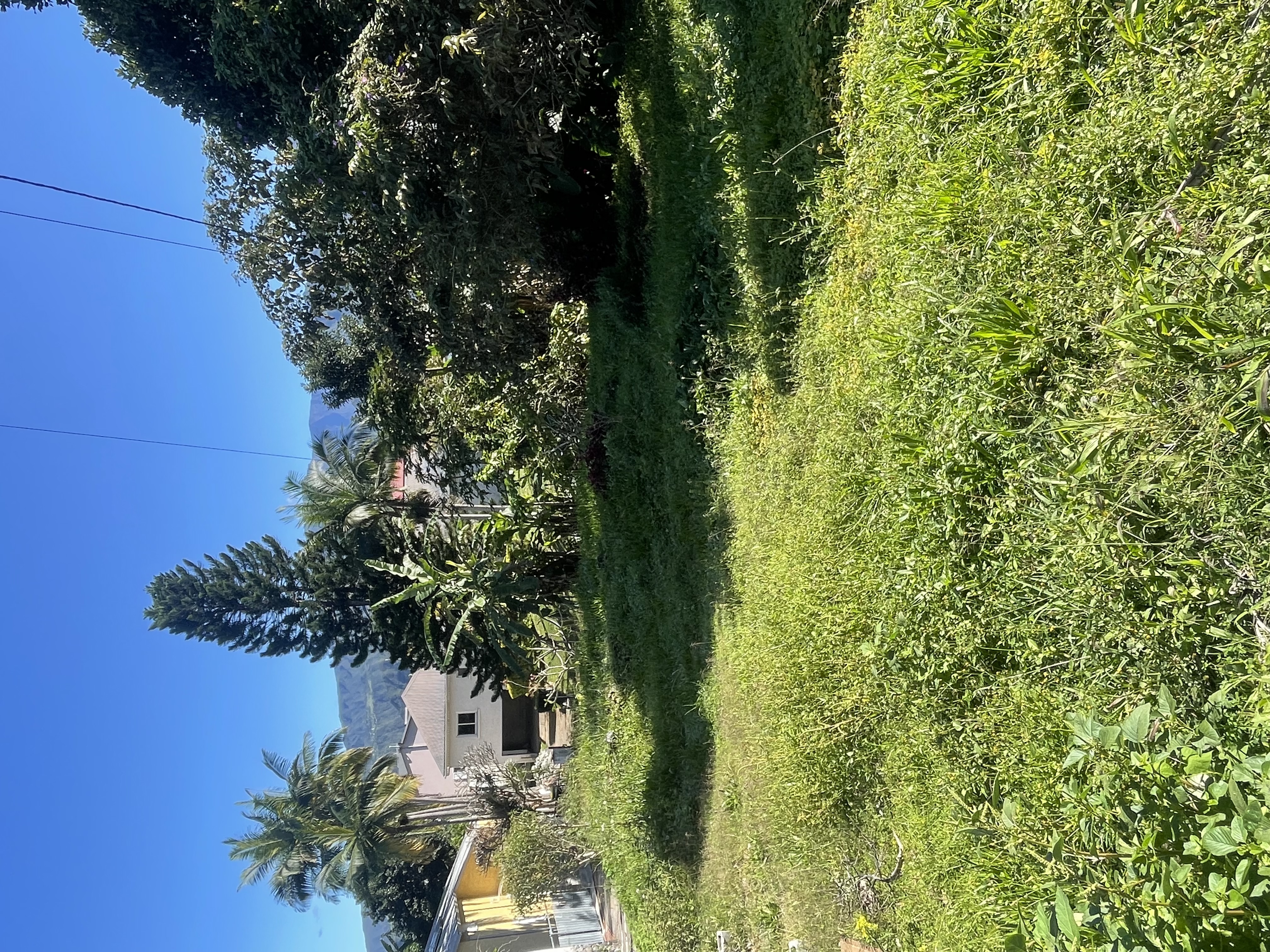 Photo 1 - Terrain à vendre - Neuf 169 000 € 1 pièces 1 chambres 451 m² Tampon 97340