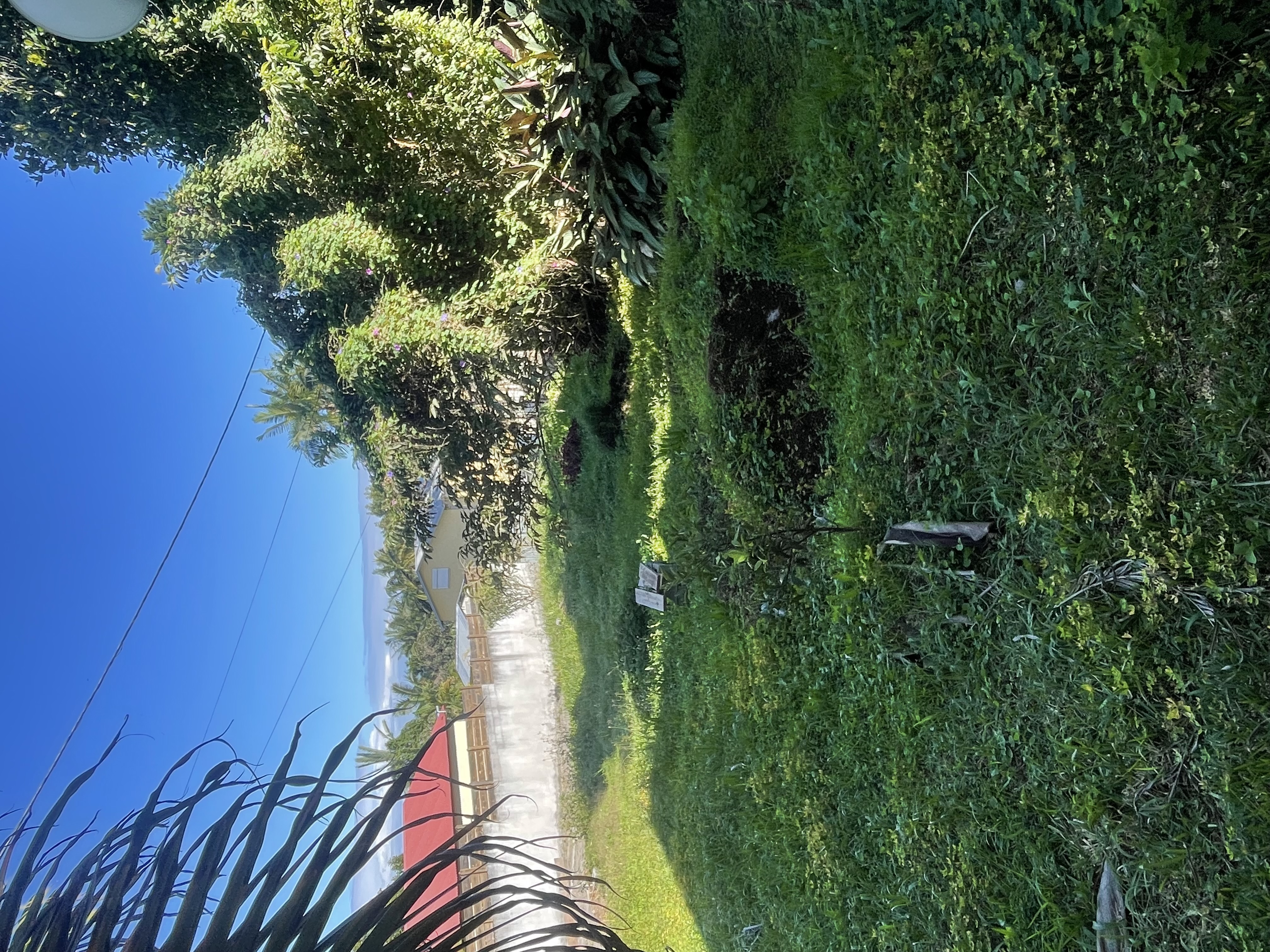 Photo 3 - Terrain à vendre - Neuf 169 000 € 1 pièces 1 chambres 451 m² Tampon 97340