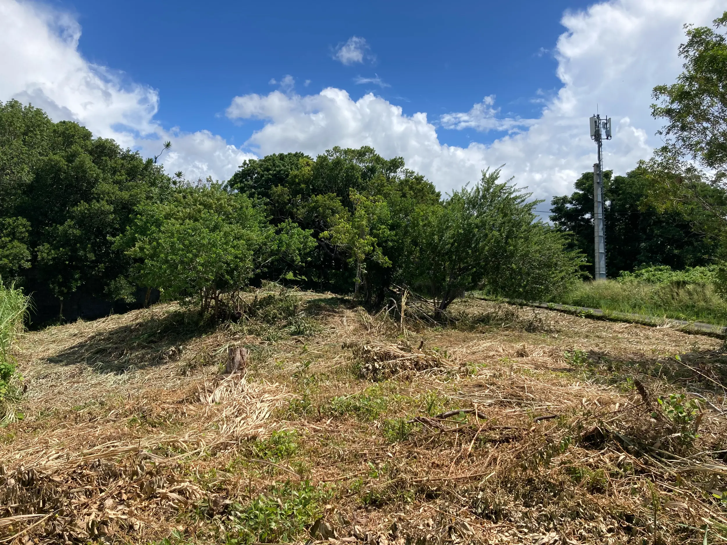 Photo 4 - Terrain à vendre 72 000 € 563 m² SAINT BENOIT 97470