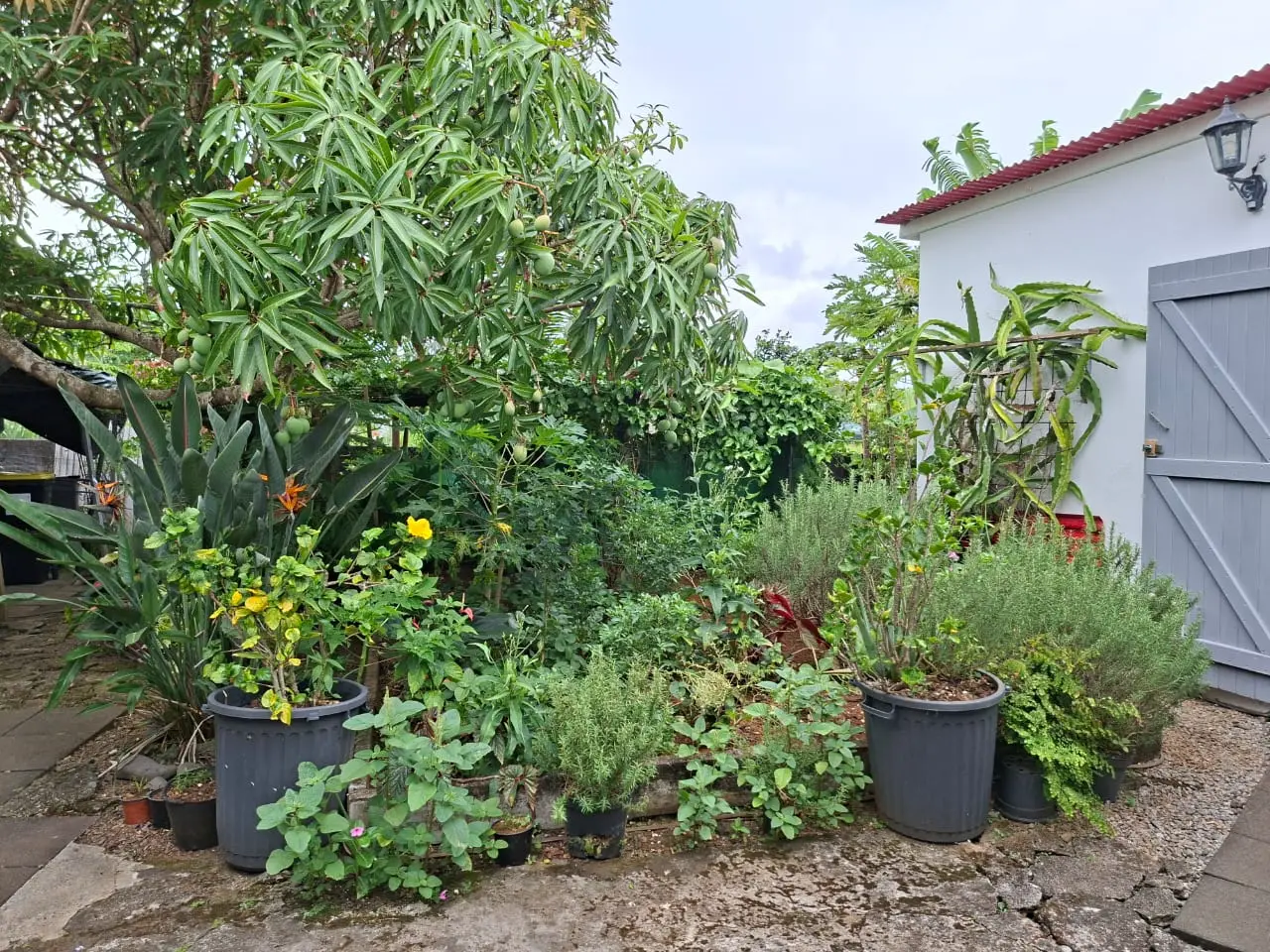 Photo 3 - Maison à vendre - Ancien 220 000 € 8 pièces 4 chambres 120 m² Saint-Philippe 97442